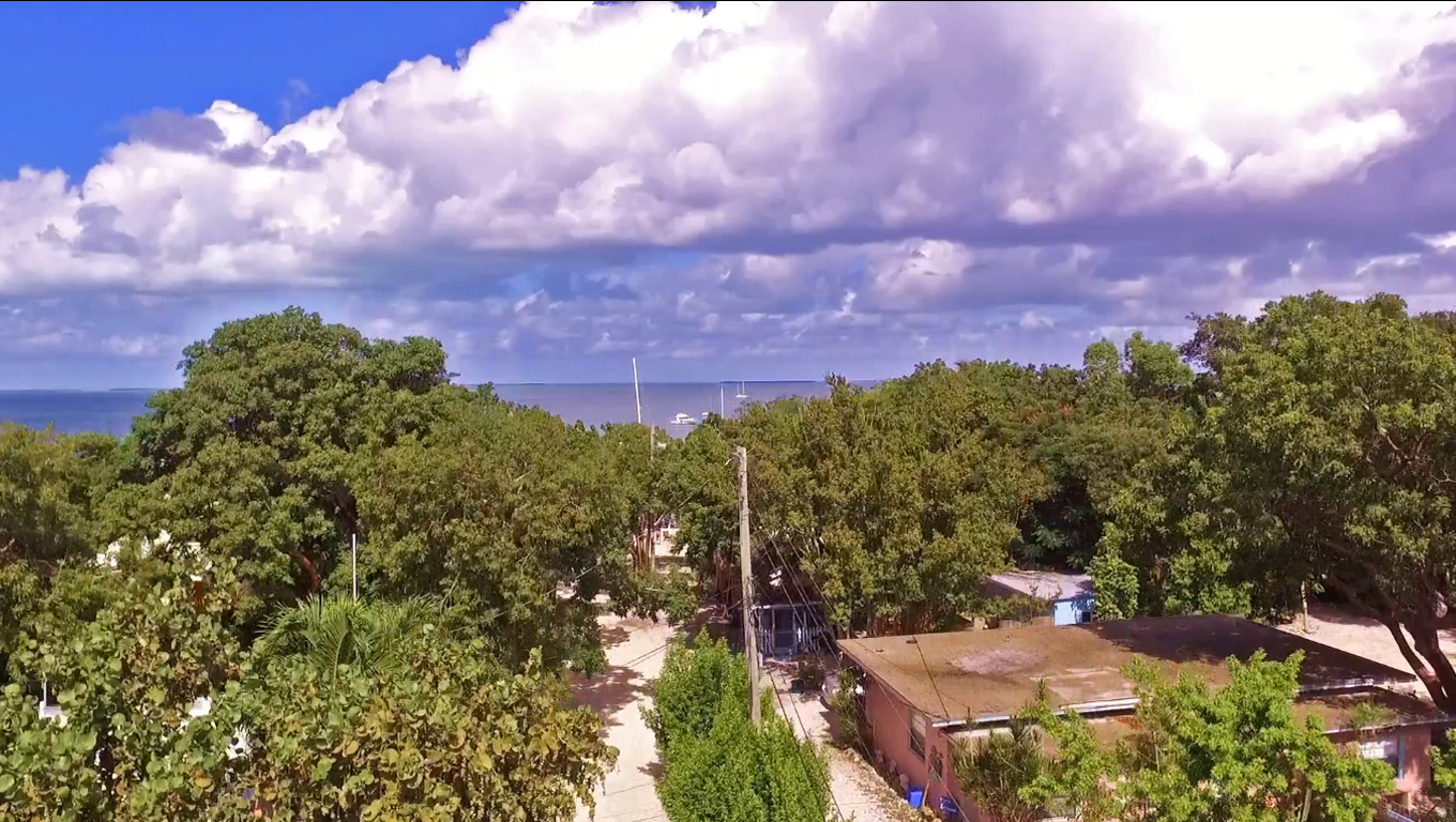 Sailing School American International Sailing Academy