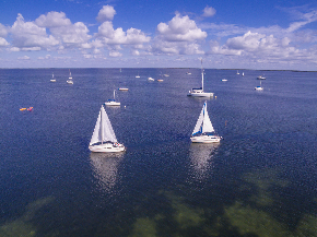 Our Fleet of Catalina 22 sailboats